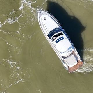 Boat image 80