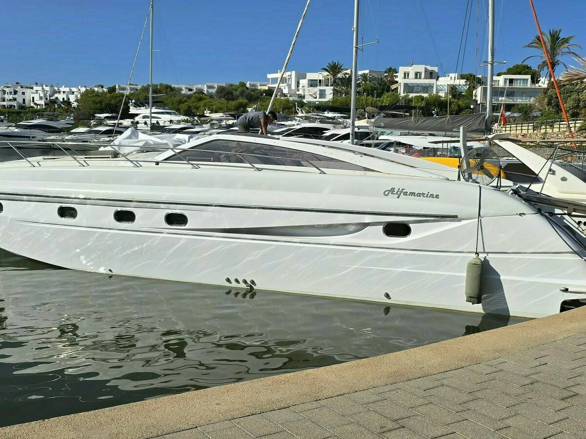Alfamarine  43