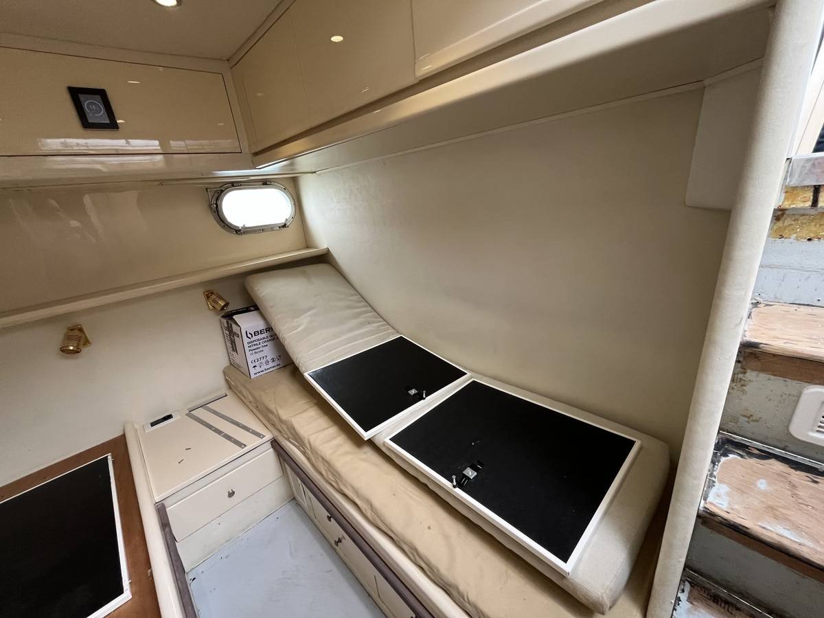 Alfamarine  43