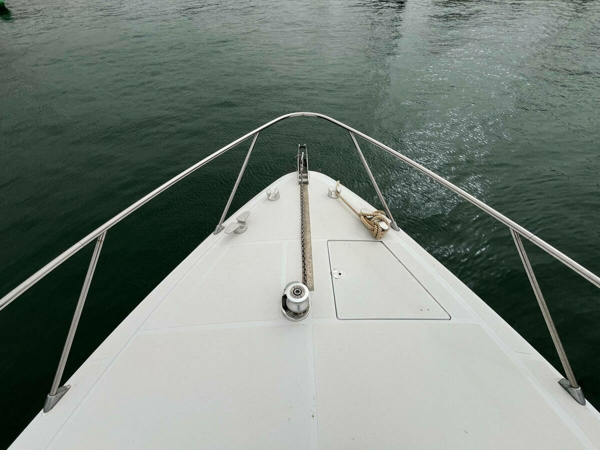 Alfamarine  43