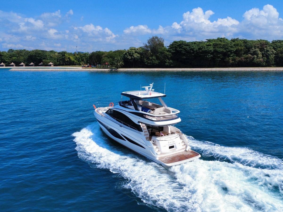 Princess 65