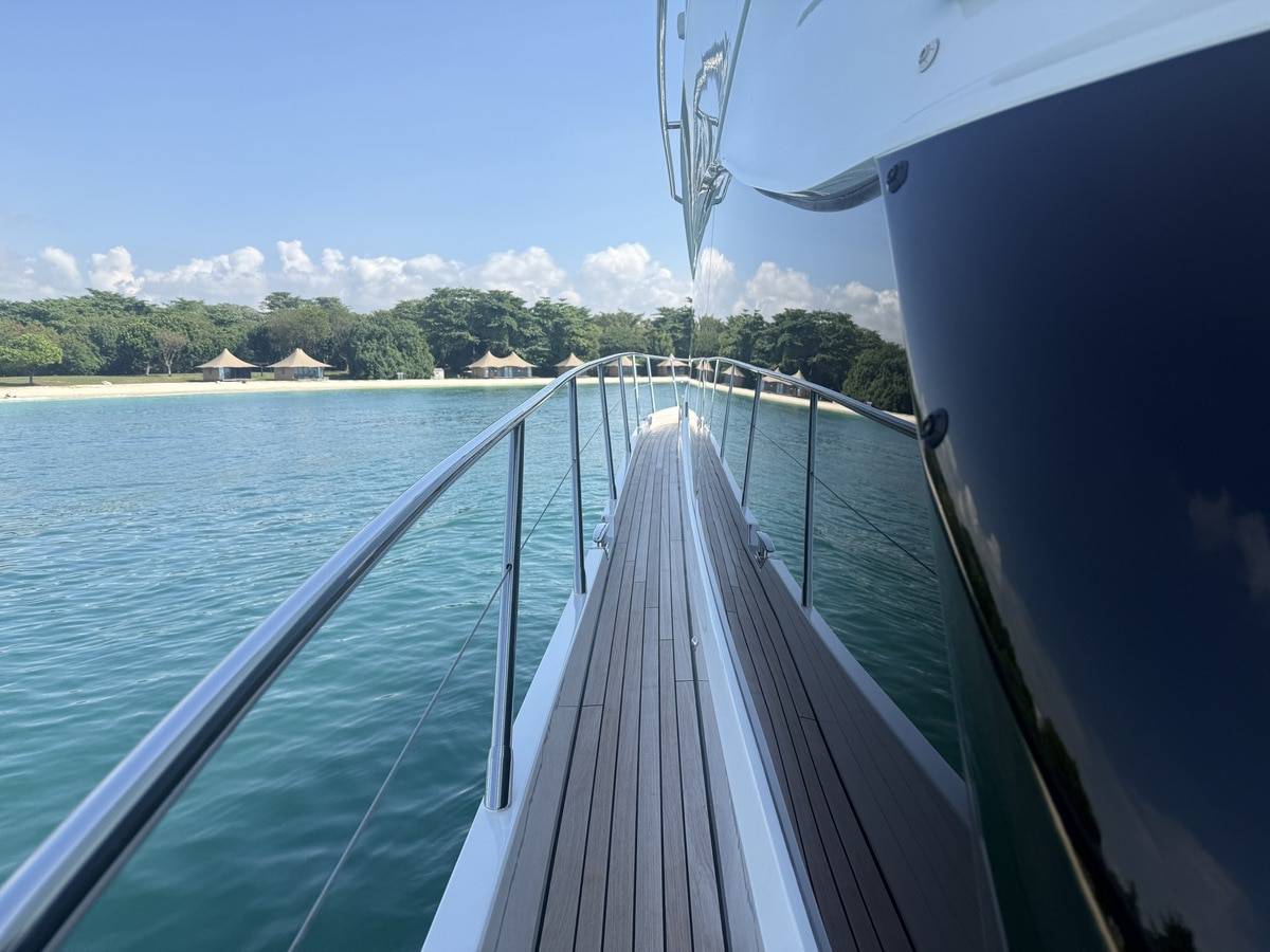 Princess 65