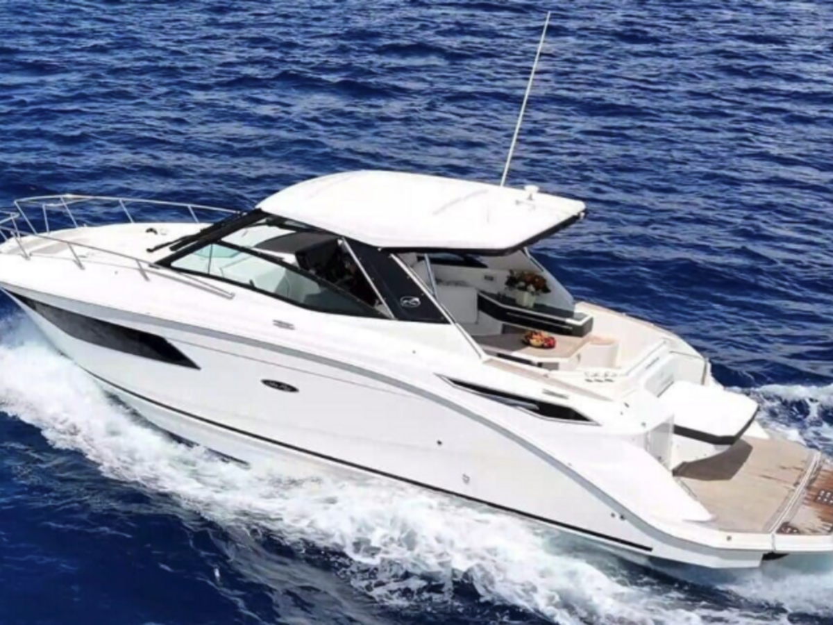 Sea Ray 320