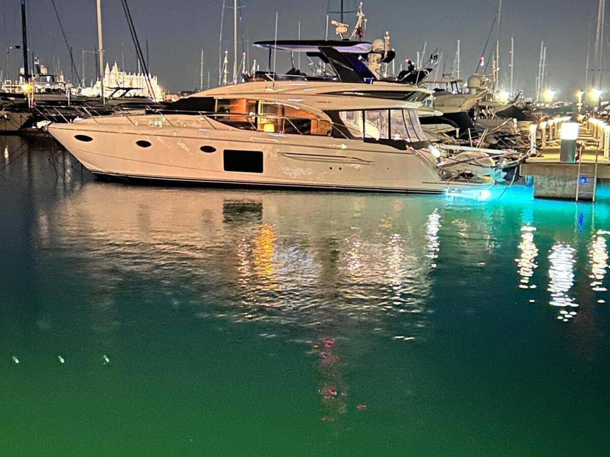 Princess 60