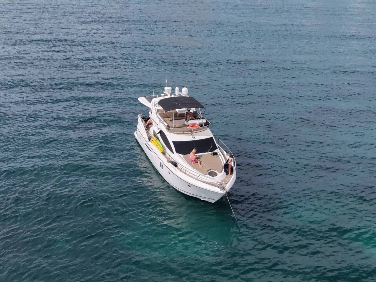 Pearl 50