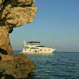 Boat image 202