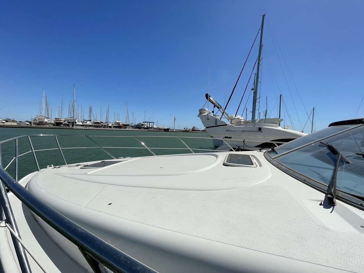 Sealine 42