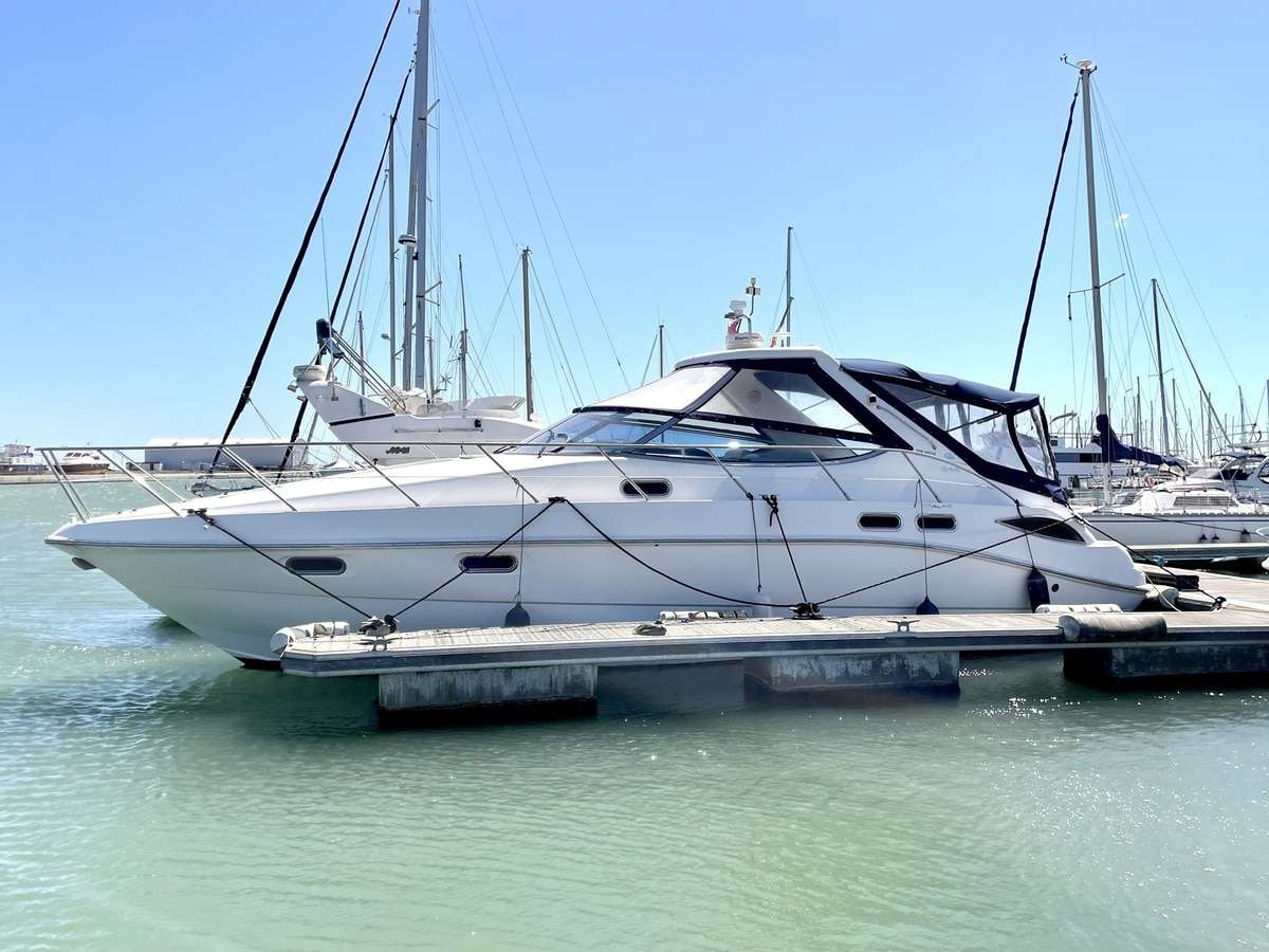 Sealine 42