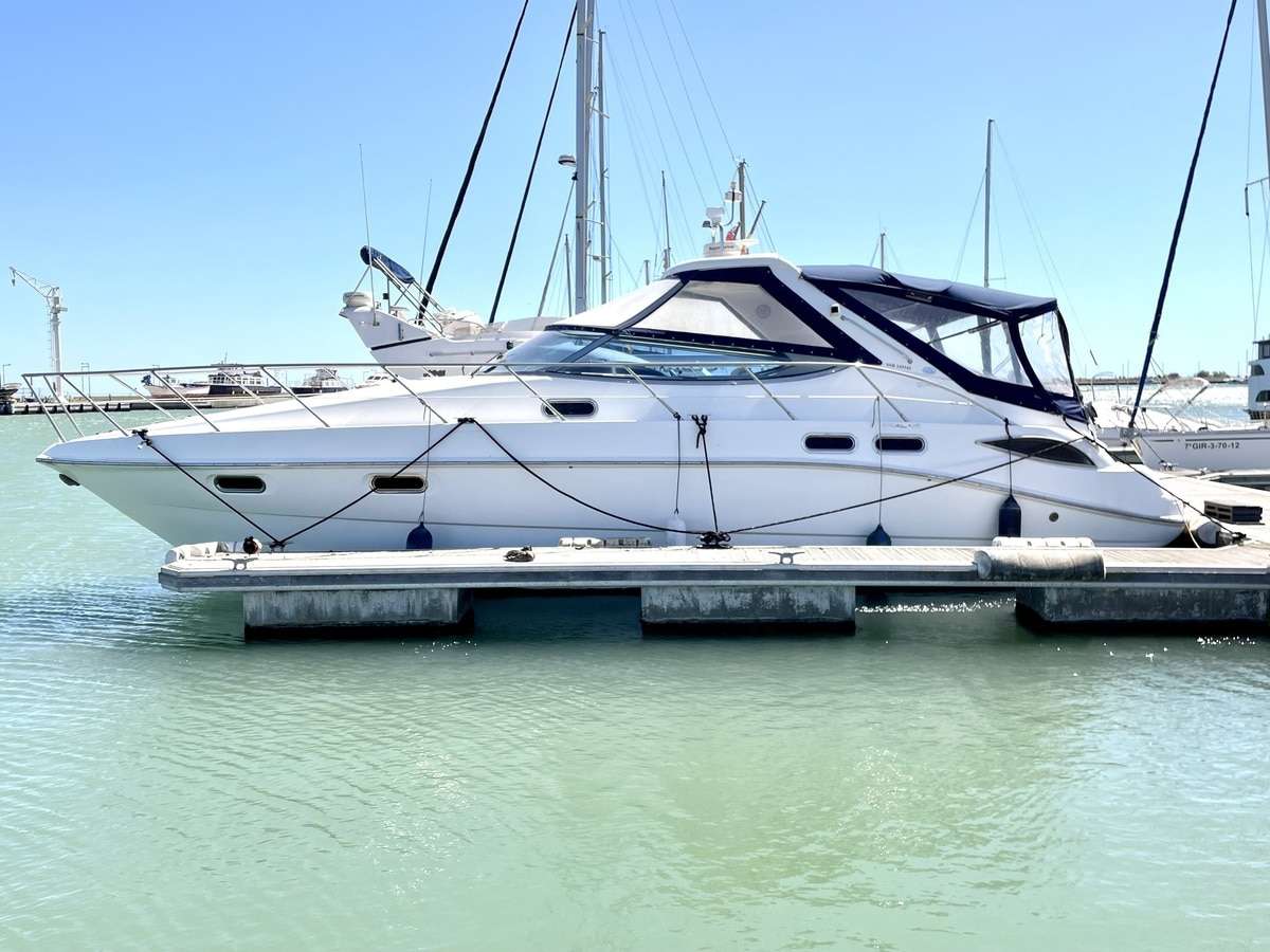 Sealine 42