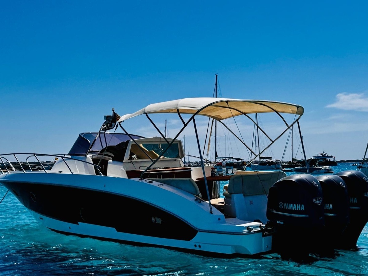 Sessa Marine  36